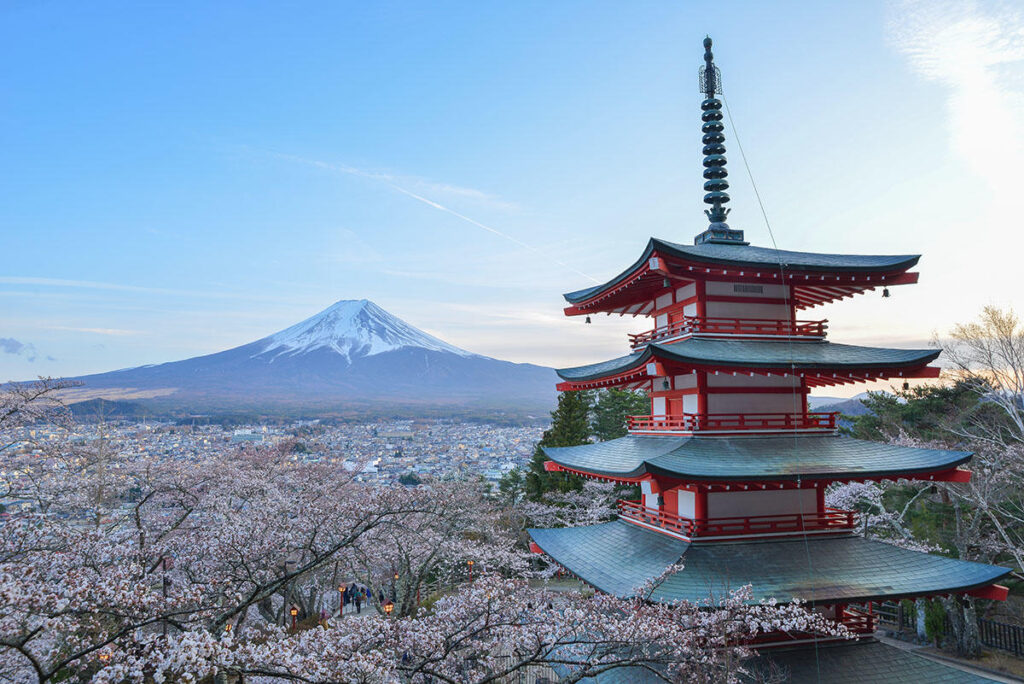 Cherry Blossoms and Mt. Fuji