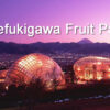 Fuefukigawa Fruit Park night view