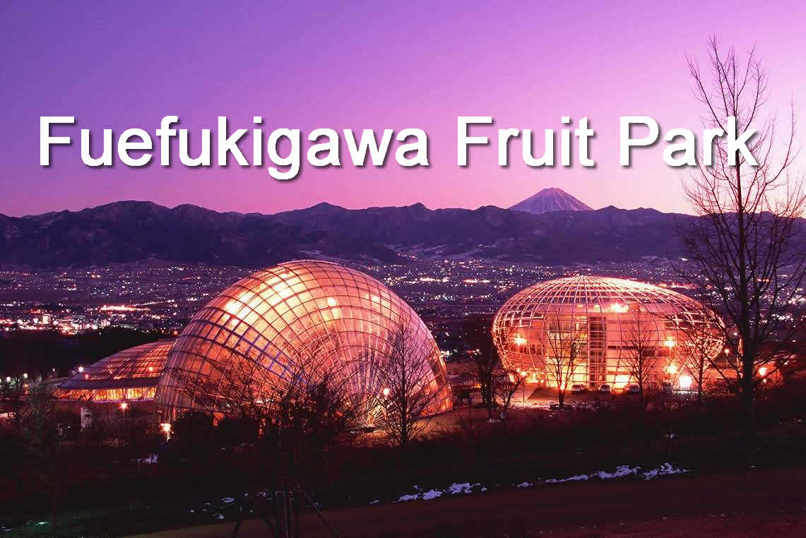 Fuefukigawa Fruit Park night view