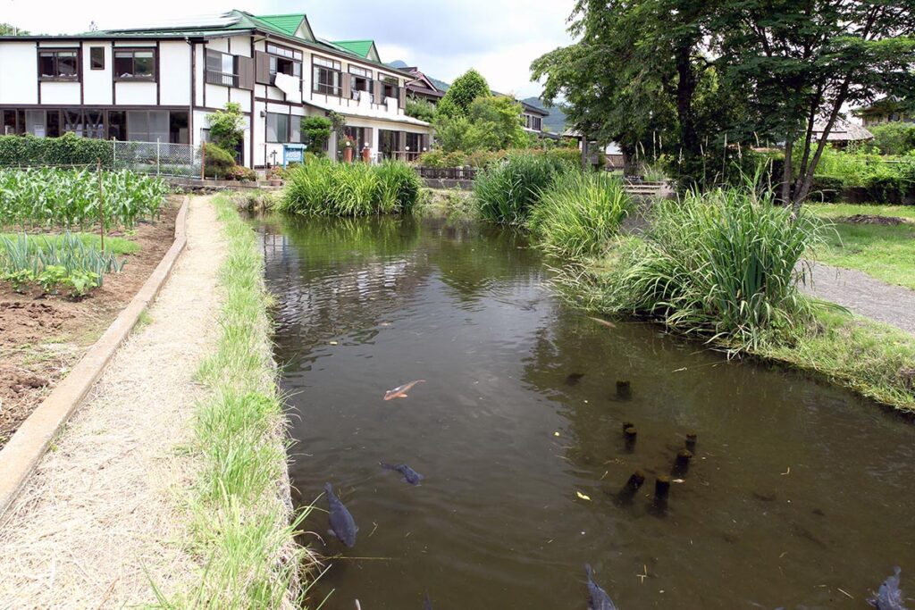 Shobu Pond