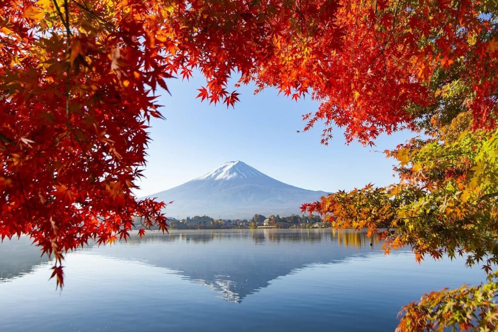 Vibrant Colors and Mt. Fuji